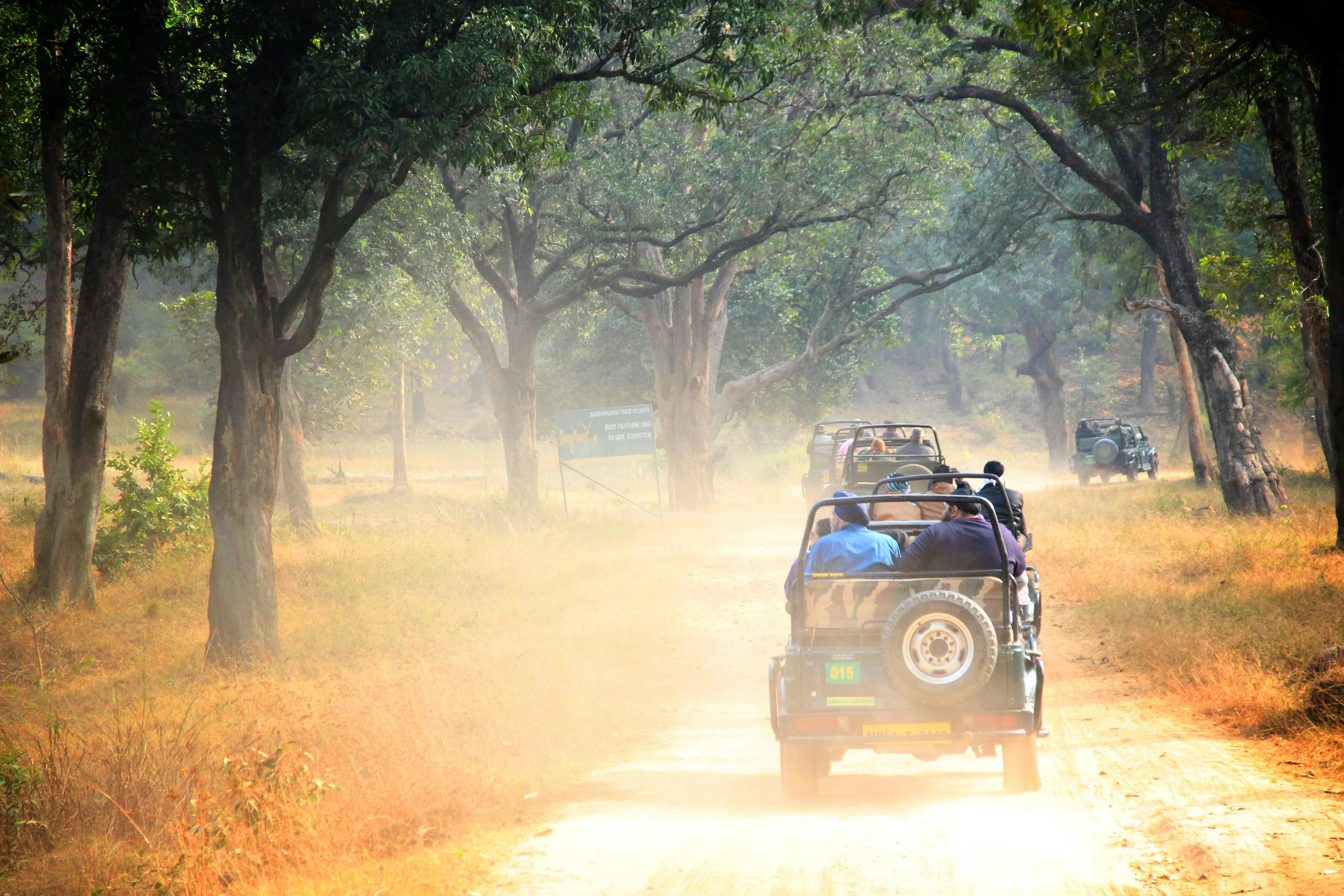 Short Break To Bandhavgarh