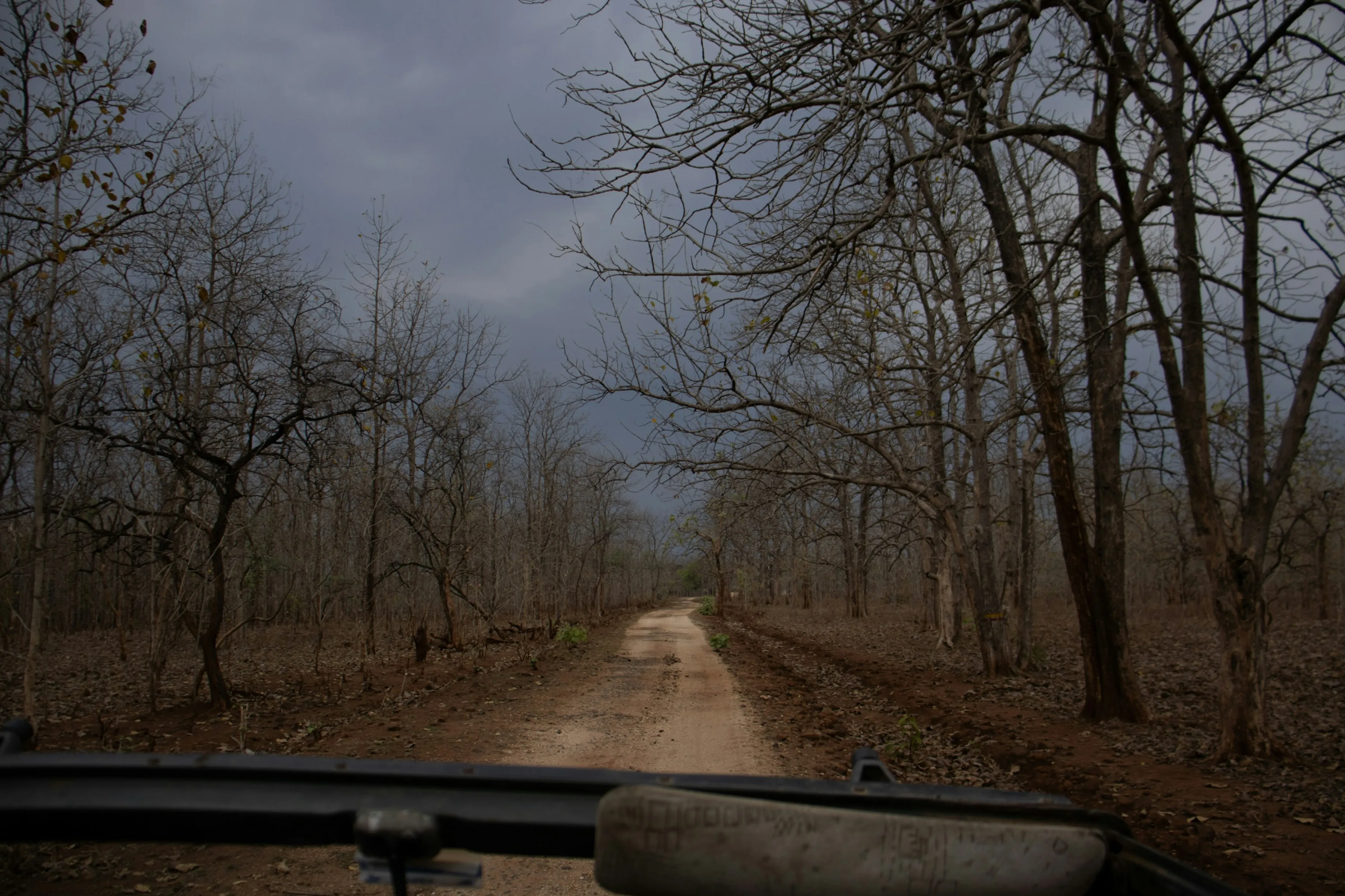 Jungle Retreat Of Central India