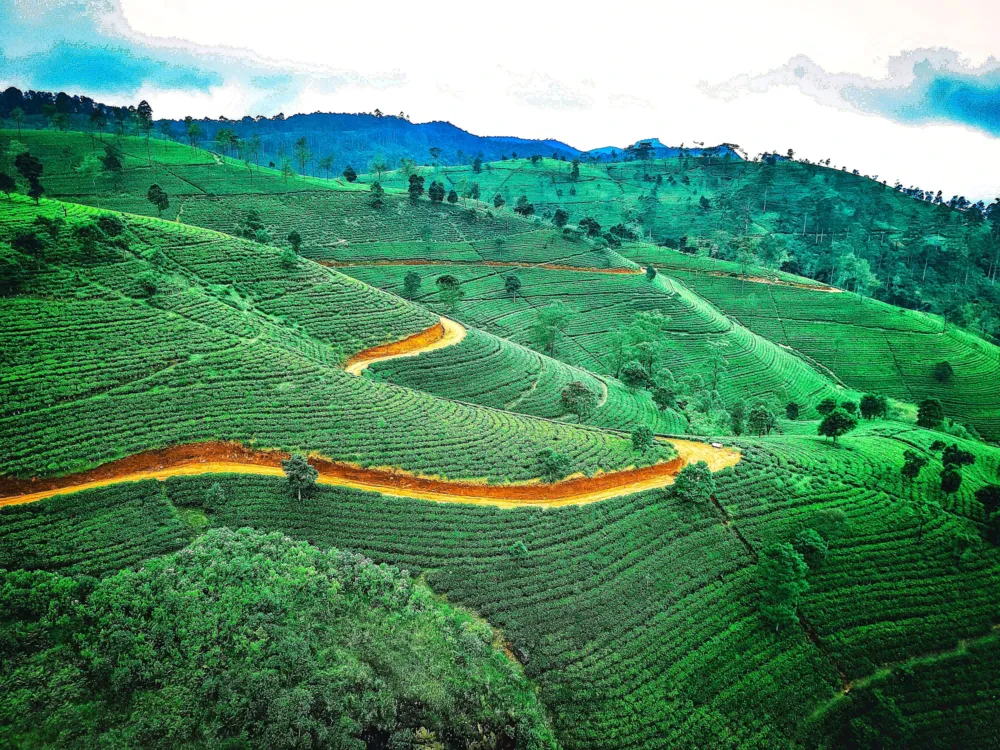 Sri lanka