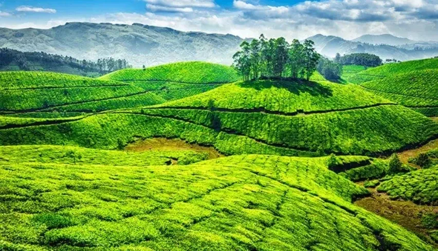 Kerala