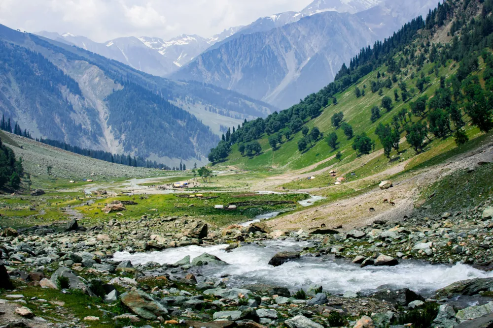 Jammu and Kashmir