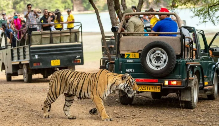 Indian Sojourn Journey