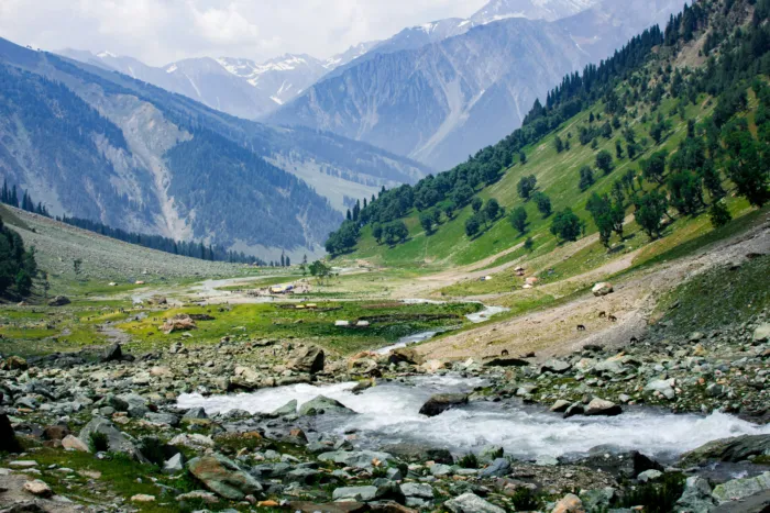 Jammu and Kashmir