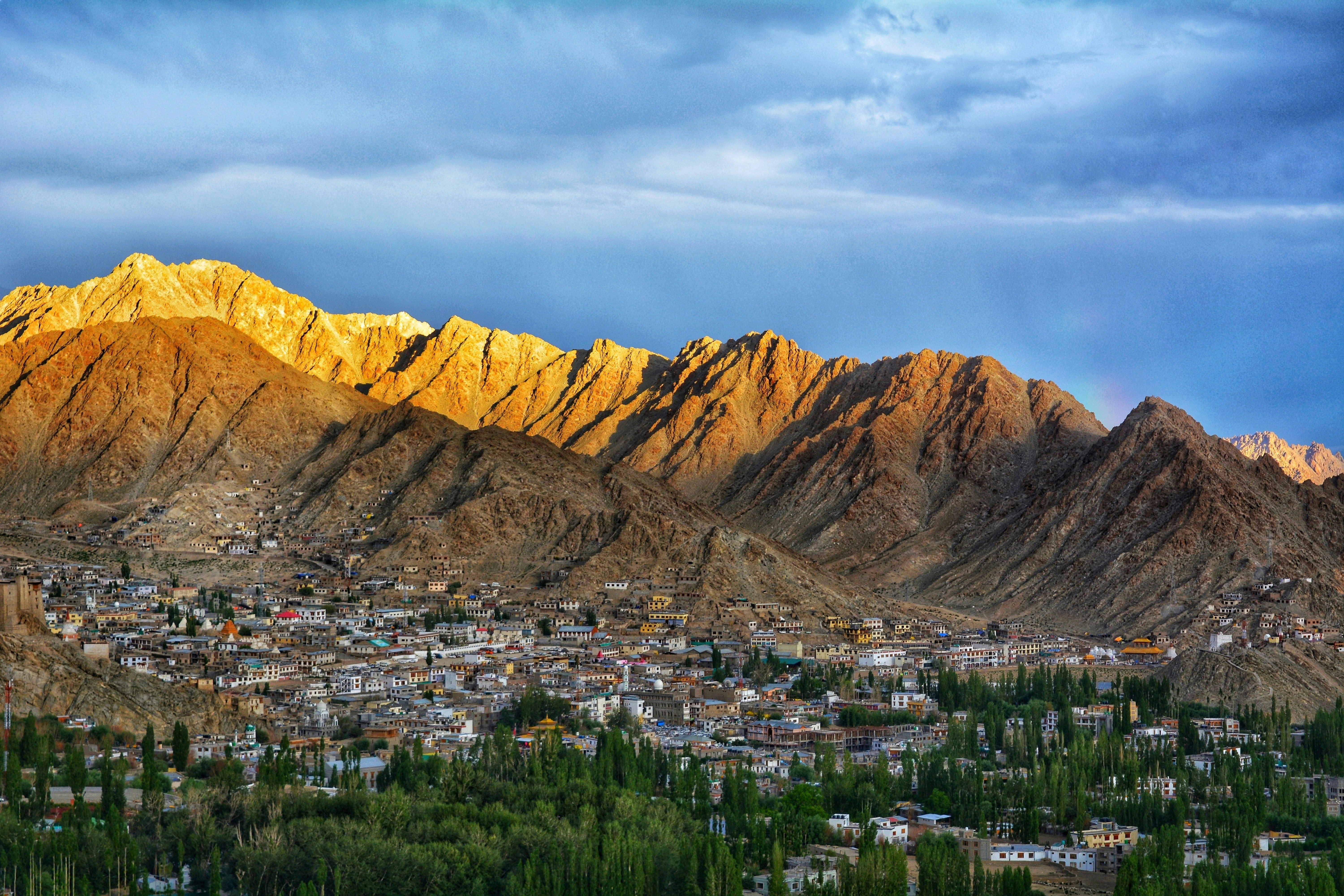Ladakh Gallery