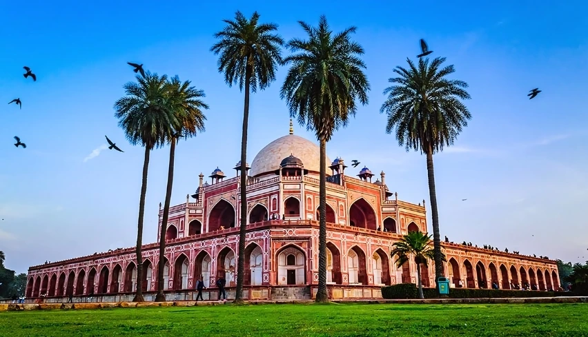 Delhi Gallery
