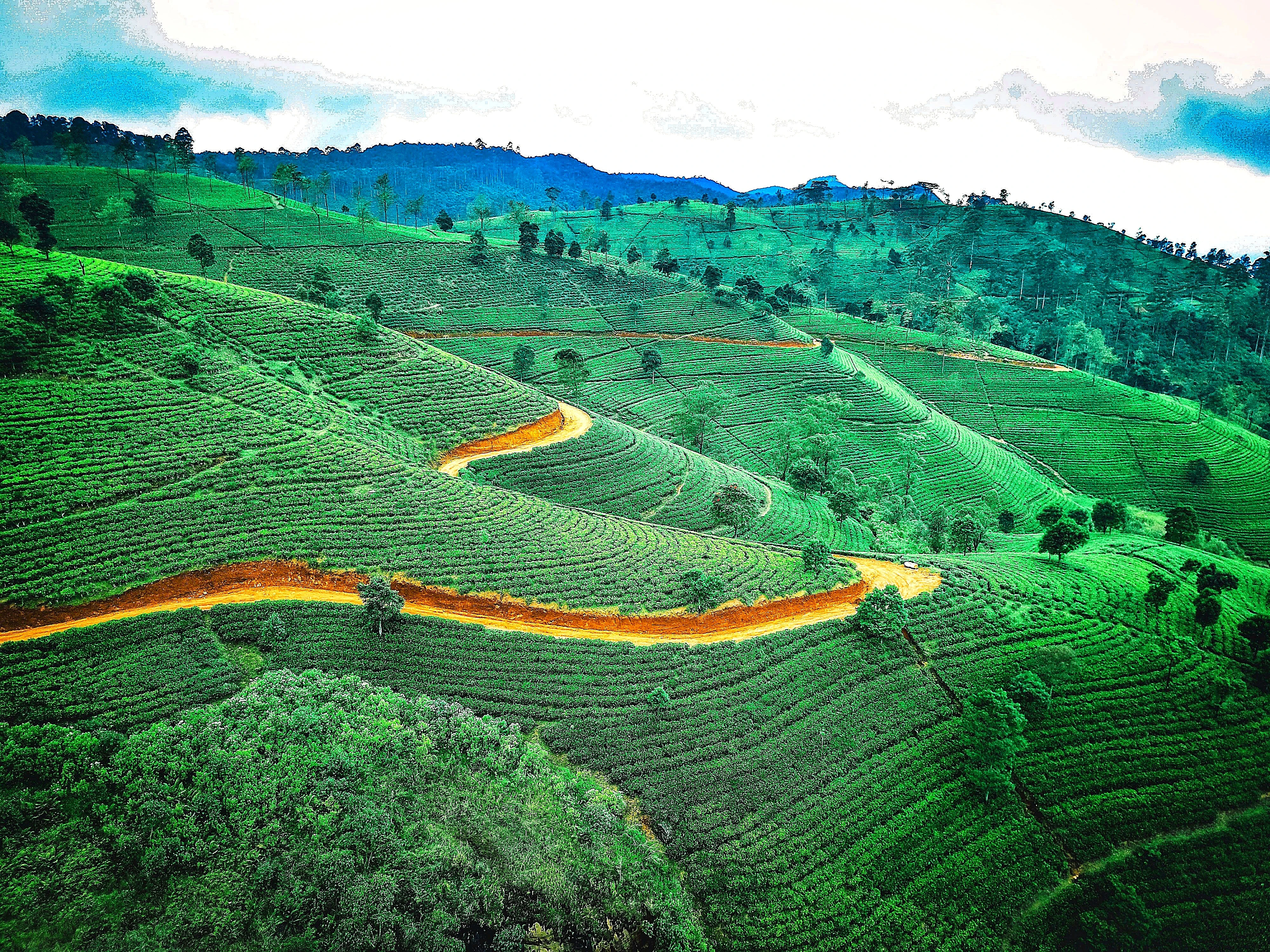 Sri lanka Gallery