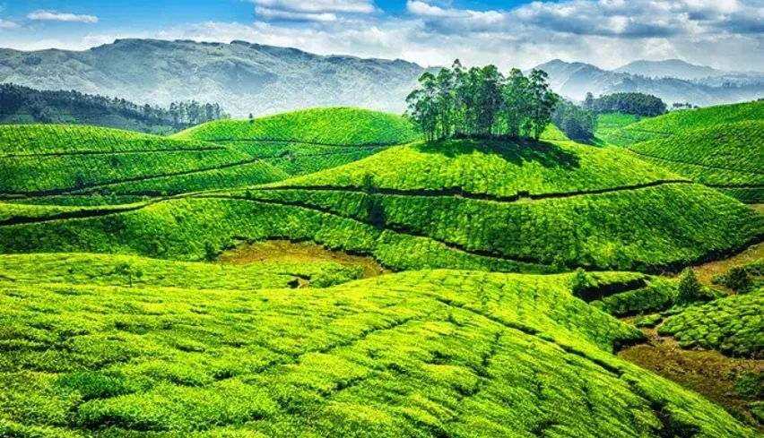 Kerala Gallery