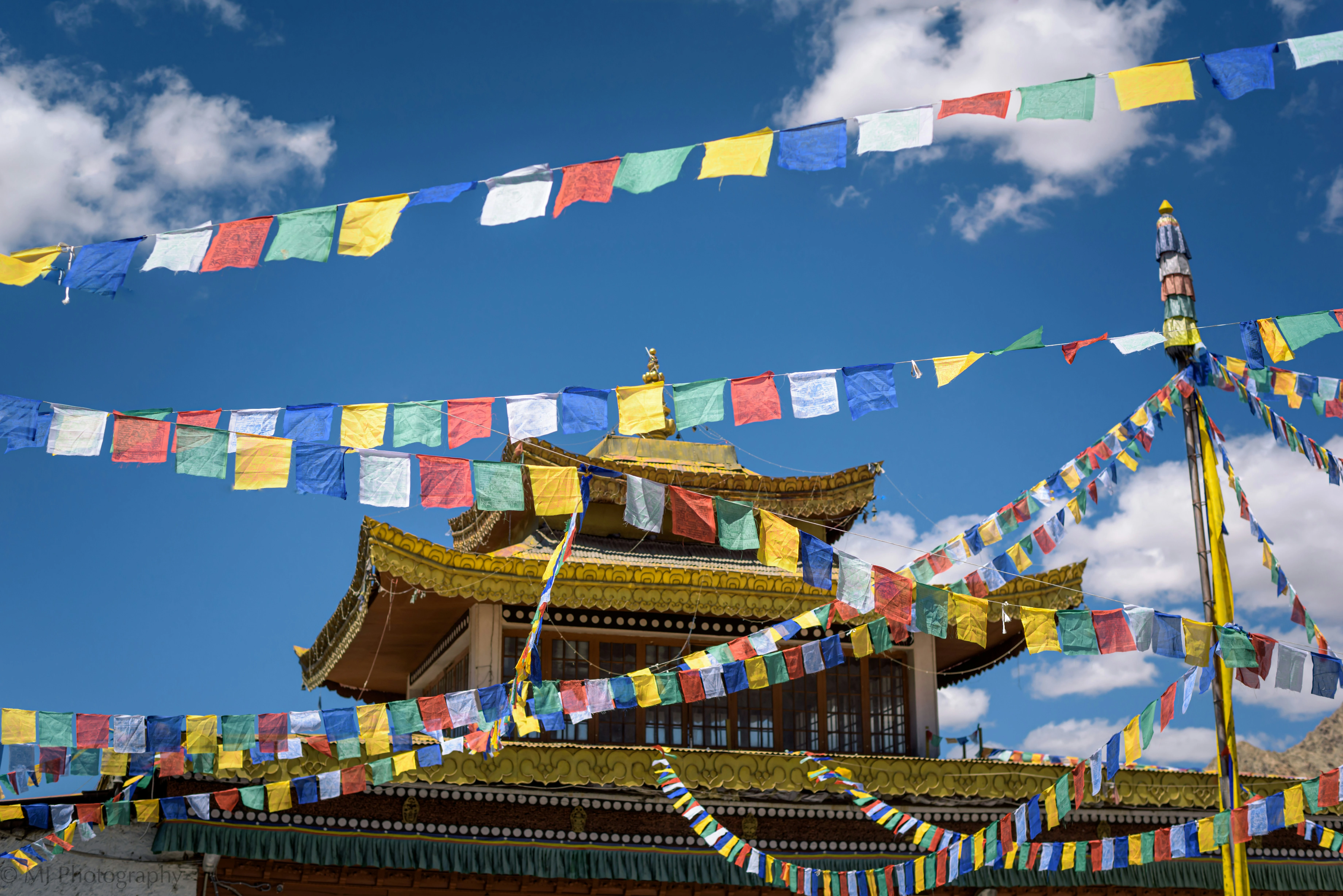 Ladakh Gallery