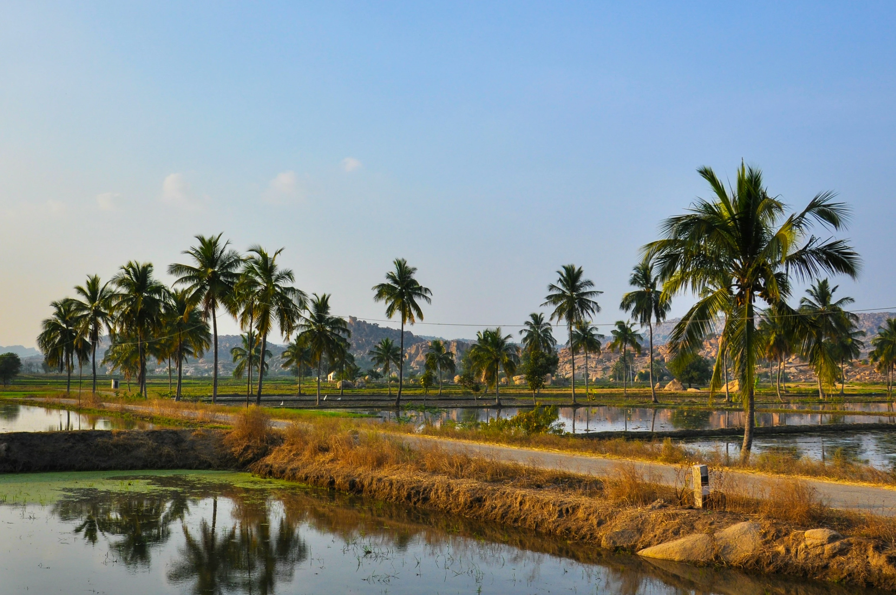 Karnataka Gallery