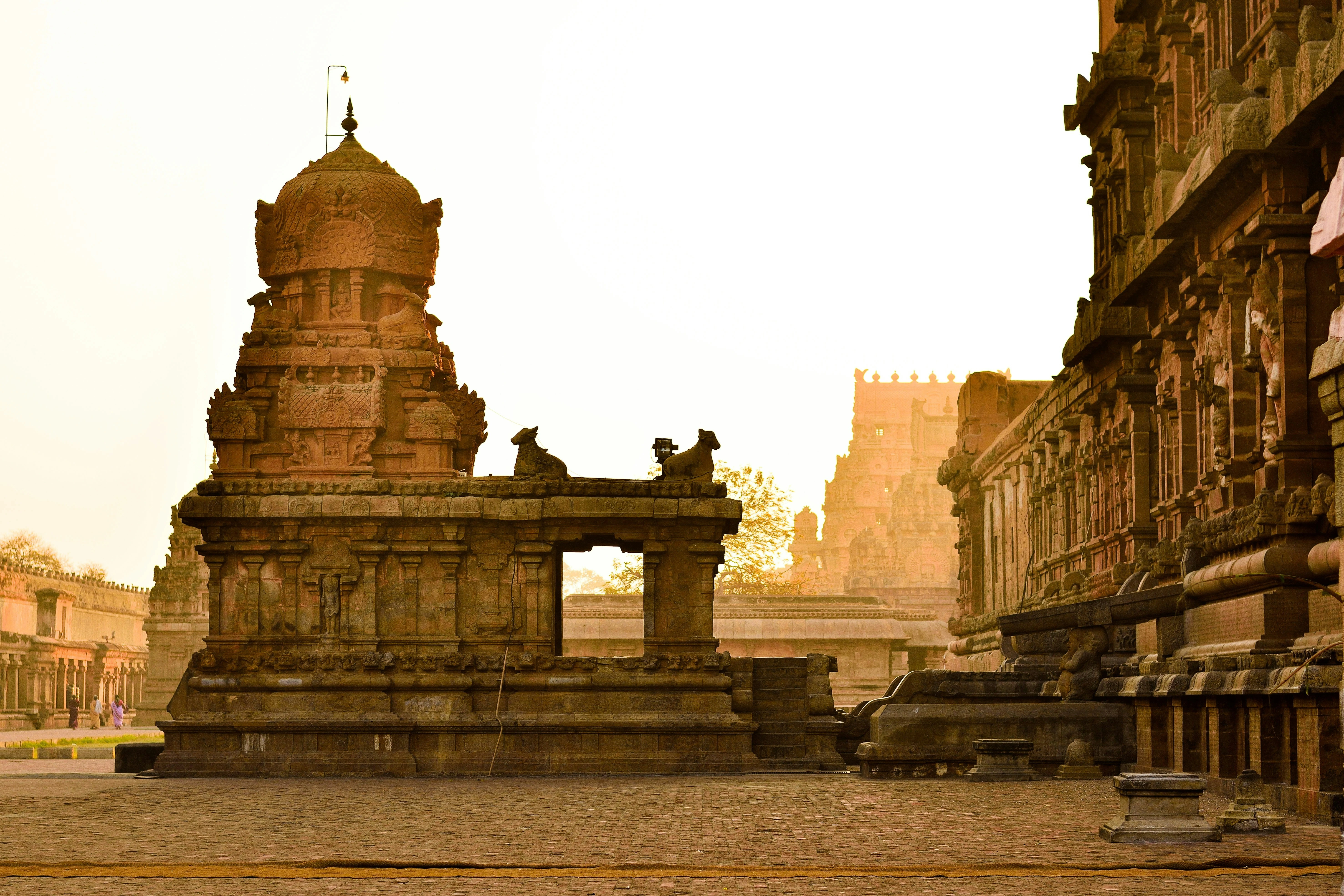 Tamil Nadu Gallery